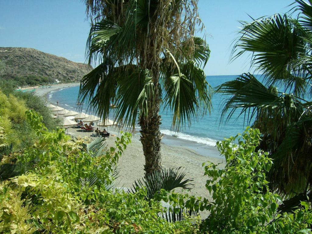 Patriko Village Home Pissouri Eksteriør billede